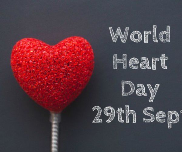 Ngày tim mạch thế giới và các hoạt động liên quan