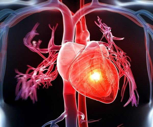 Tầm quan trọng của việc chăm sóc sức khỏe tim mạch