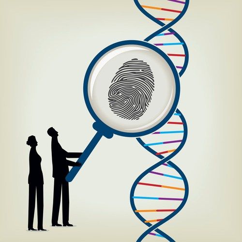 Sự phát triển của lĩnh vực xét nghiệm ADN tại Nha Trang, Khánh Hòa