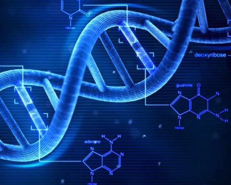5 Địa Điểm Xét Nghiệm ADN Hàng Đầu tại Cần Thơ