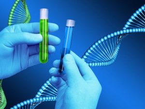 Giá xét nghiệm ADN tỉnh Cà Mau chi tiết 2024