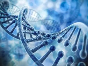 Giá xét nghiệm ADN tỉnh Kiên Giang chi tiết nhất 2024