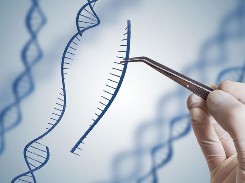 Giá xét nghiệm ADN tỉnh Sóc Trăng mới nhất 2024