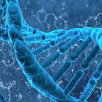 Giá xét nghiệm ADN tỉnh Trà Vinh