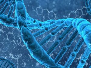 Giá xét nghiệm ADN tỉnh Trà Vinh