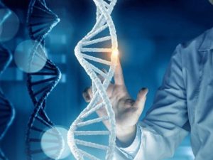 Giá xét nghiệm ADN tỉnh Vĩnh Long 2024